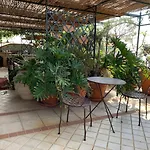 Terrazza Pavone *