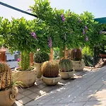 Terrazza Pavone *