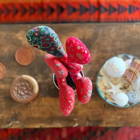 Terrazza Pavone Апартаменты Ачи Костелло