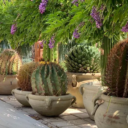 Terrazza Pavone Апартаменты *