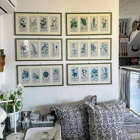 Terrazza Pavone Lejlighed Aci Castello