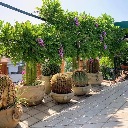 Terrazza Pavone *
