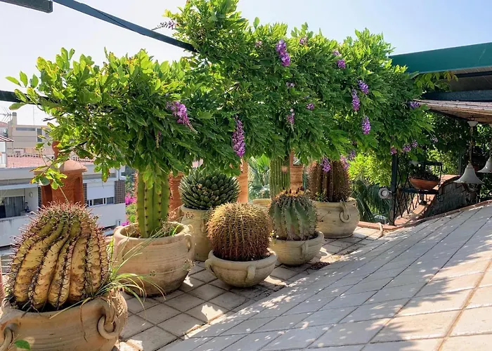 Terrazza Pavone *